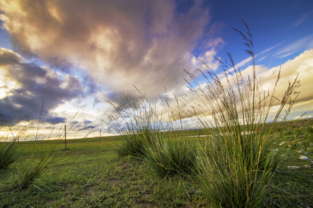 grasslandの写真素材