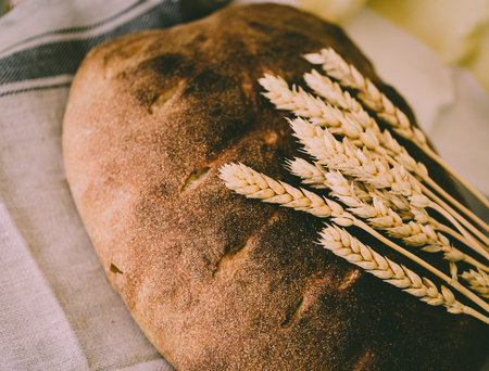Organic sour dough loaf of bread with golden yellow sprouted wheat grains and spikes on table cloth,...