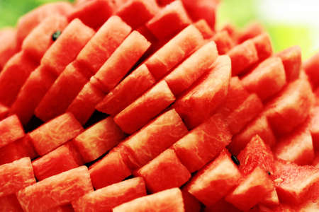 water melon,citrullus lanatus mats & nakaiの写真素材