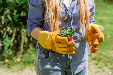 Latin woman planting in the garden in springの写真素材