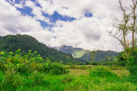 Golden hour landscape of Colombiaâ€™s coffee region featuring lush green hills and tranquil...