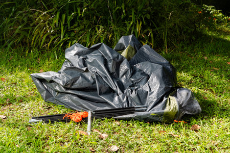 Unassembled tent with poles and ropes on grassy ground in tropical outdoor setting.