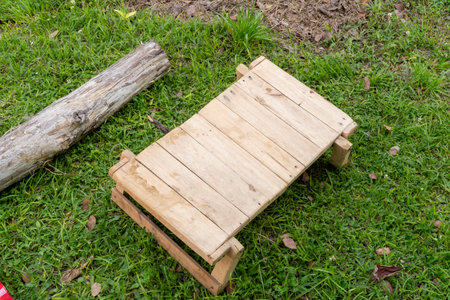 Handmade wooden bench on grassy ground with fallen log in tropical outdoor setting.