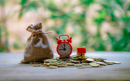 A small house on a pile of coins is used as an asset, financial concept for mortgage, financial...