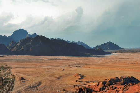 the mountains of the Sinai desertの写真素材