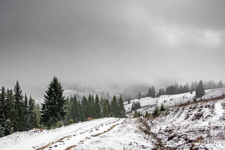 Winter Carpathians, snow-capped mountains and forest