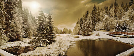 Panorama of a winter morning in the Carpathians