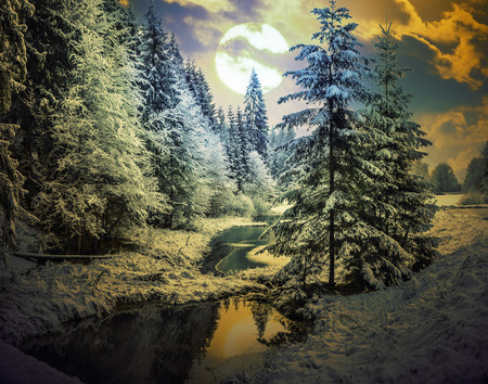 Panorama of a winter morning in the Carpathiansの写真素材
