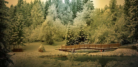 Panorama of a winter morning in the Carpathians