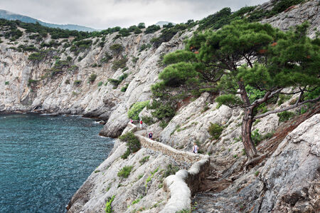  Panoramic view of the sea coast of the Black Sea on the Crimean peninsulaの写真素材