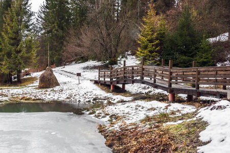 Ukraine, winter forest in the Carpathian Mountains, pine trees covered with snow, the resort area in the district Mezhgorye lake Vitaの写真素材