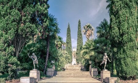 Park alley in the botanical garden of Sochi, Russiaの写真素材