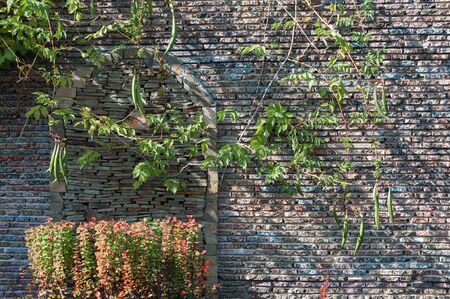 The fence of green space, stone and climbing plantsの写真素材
