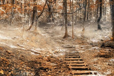 Hiking trail in the big city, Krasnodar region, Russiaの写真素材