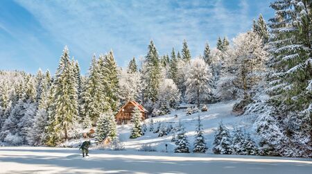 Winter forest in the Carpathians on the mountain lake Vita, Mizhhiryaの写真素材
