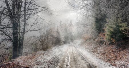 Winter road through a snowy forestの写真素材