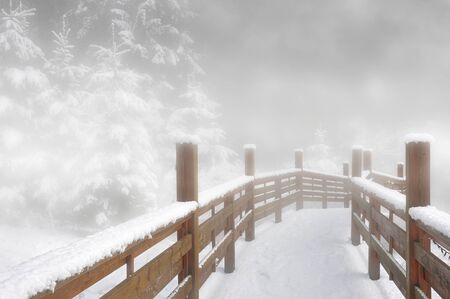 Wooden bridge in the fogの写真素材
