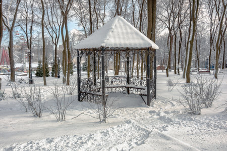 Gazebo in the winter parkの写真素材