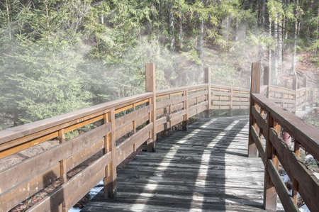 wooden bridge in the park area. Wooden bridge over the pond. Wooden bridge in the park landscapeの写真素材