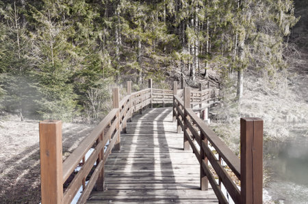 wooden bridge in the park area. Wooden bridge over the pond. Wooden bridge in the park landscapeの写真素材