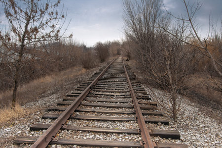 Railroad tracks in the forest, spring, early spring. Russiaの写真素材
