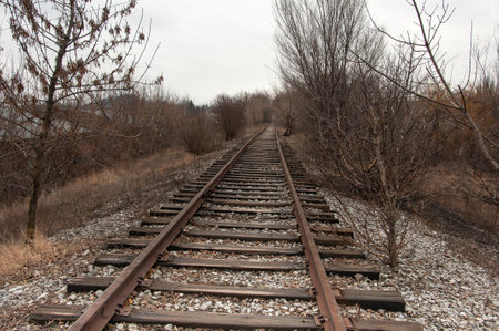 Railroad tracks in the spring forest. Russia, Krasnodar Kraiの写真素材