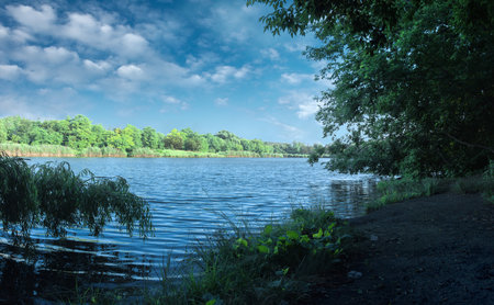 lake in the forest. Summer landscape with lake and blue sky.の写真素材