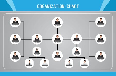 Organization Chart Infographics, vector designのイラスト素材