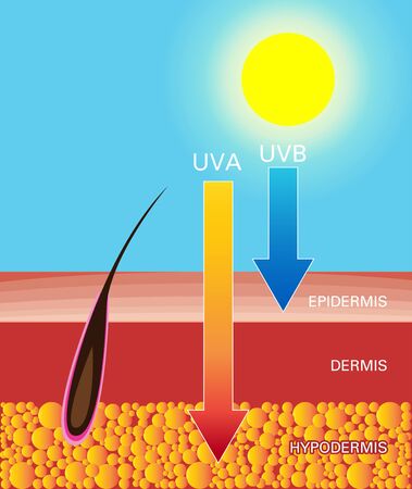 Skin compare, Protect both UVA and UVBのイラスト素材
