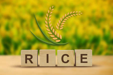 grain organic natural product ,rice icon, illustration.の写真素材