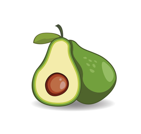 avocado , Healthy Design concept ,fresh avocado vegetable, Vector Illustration.のイラスト素材