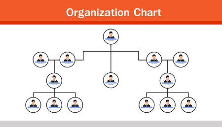 Organization Chart Infographics with People Icon and Abstract Line, Business Structure, Hierarchy of employees,org  Vector Illustrationのイラスト素材