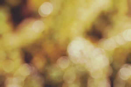 abstract nature bokeh background,Blurred background.の写真素材