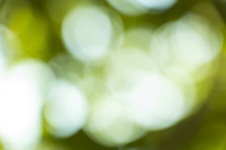 abstract spring green backgroundの写真素材