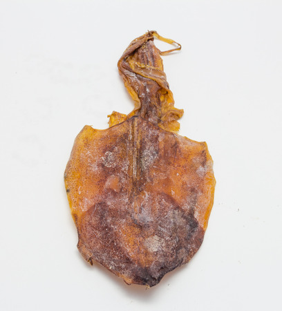 Dried Squid Isolate on white backgroundの写真素材