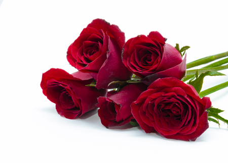 Red roses isolated on white backgroundの写真素材