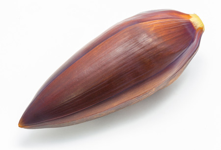 banana blossom isolated on white backgroundの写真素材