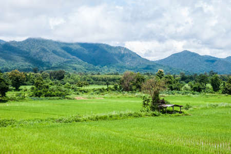 rural landscape with mountains and havenの写真素材