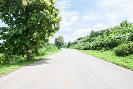 Road going through the countrysideの写真素材