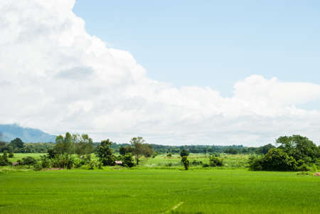 Blue sky with white clouds and field of grassの写真素材