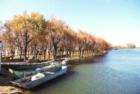 boat park at the harbor in china の写真素材