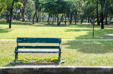 Lonely wooden bench in the parkの写真素材