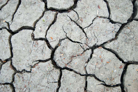 cracked clay ground into the dry season