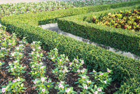 Flower garden tract の写真素材