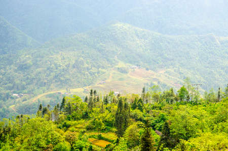 Rice field terraces at the northern Vietnam
