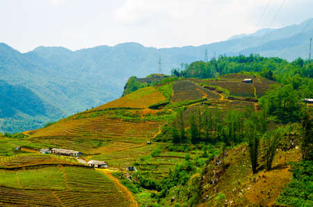  Terraced rice fields in Vietnam  Southeast asia beauty landscapes の写真素材