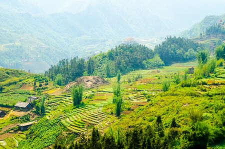  Terraced rice fields in Vietnam  Southeast asia beauty landscapes の写真素材