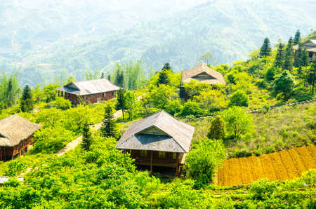 Rice field of Sa Pa  Vietnam 