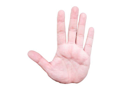 palm hand gesture, isolated on whiteの写真素材