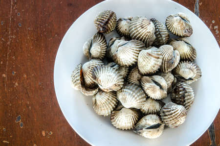 Blood Cockle or scallop  in Thailandの写真素材